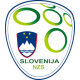 Slovenië elftal kleding